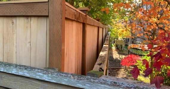 Photo provided
Oak Harbor Mayor Ronnie Wright’s fence is a foot taller than the city code allows.