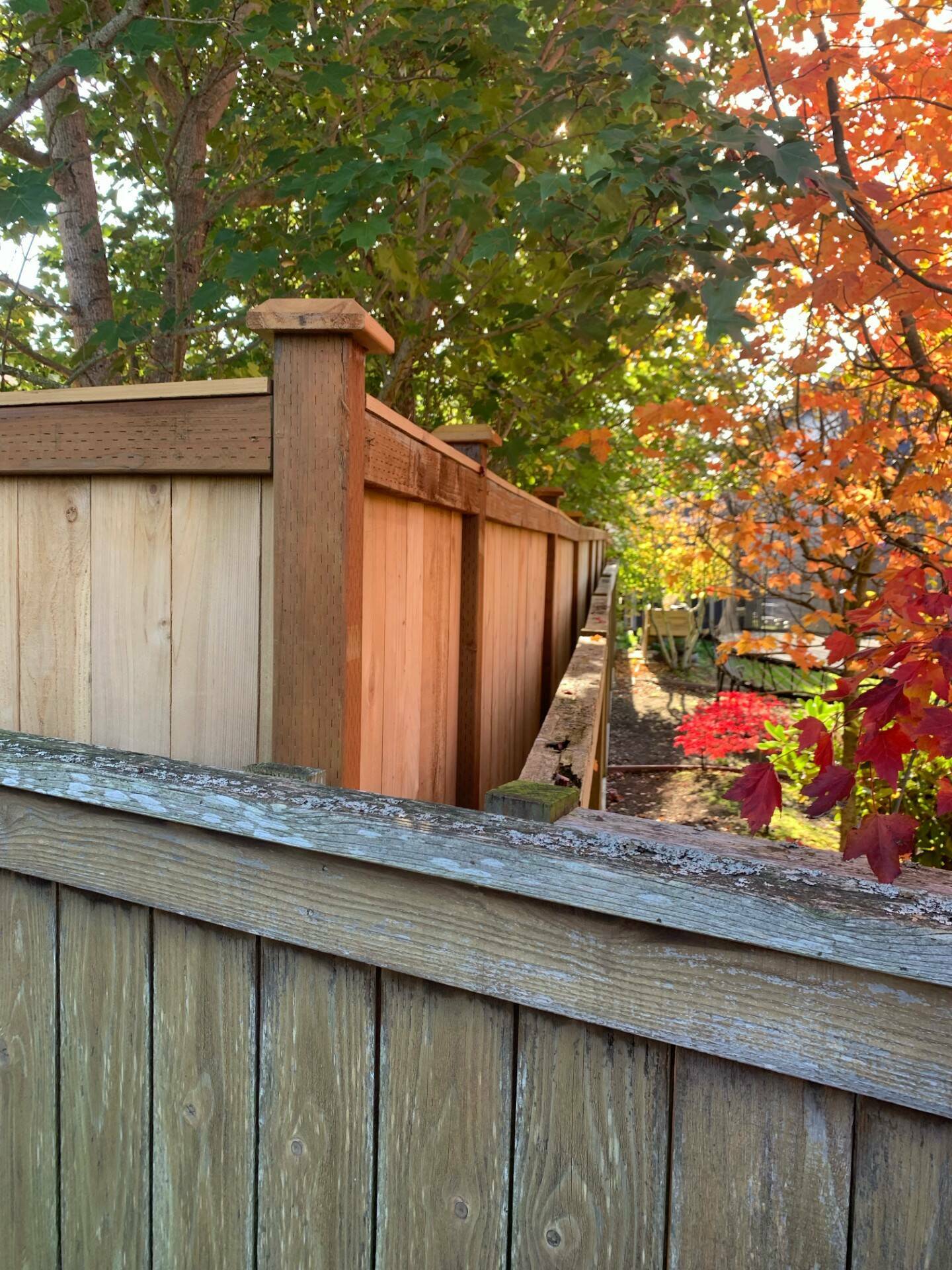 Photo provided
Oak Harbor Mayor Ronnie Wright’s fence is a foot taller than the city code allows.