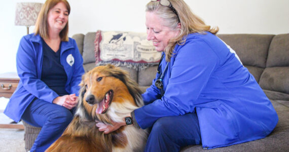 Photo by Luisa Loi
At right, Jayne McKelvy and Julie Cathey compliment Rufus for being a good boy during his annual exam. He was also vaccinated for bordetella (a bacterium associated with respiratory disease) and leptospirosis (an infection that can cause vomiting, lethargy, diarrhea and other symptoms). His owner, Kim Connolly, said skipping the drive to the veterinary clinic was a relief.