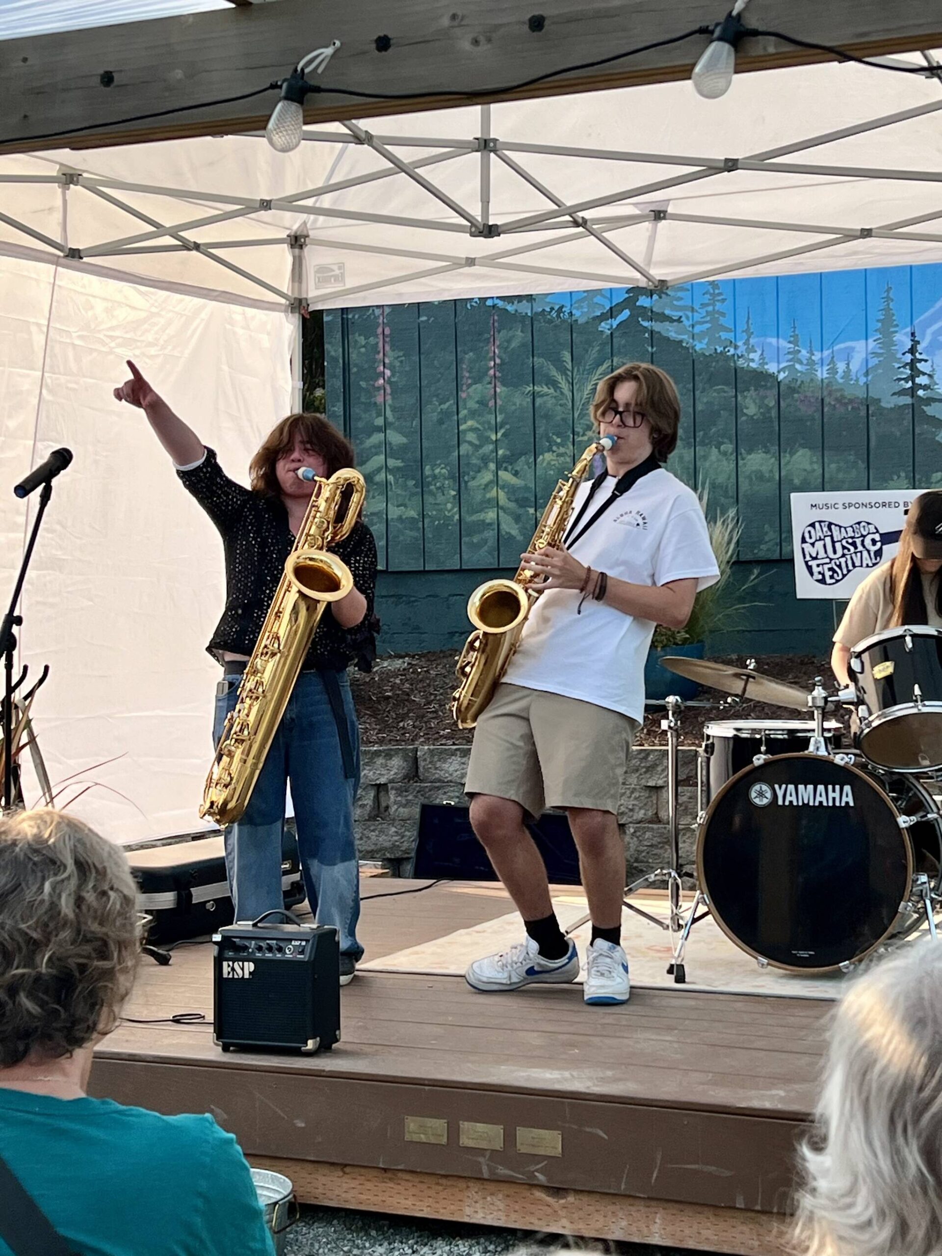 Photo by Teresa Besaw
Kick Brass will return to play this year.