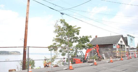 Photo by Marina Blatt
Large trees had to be cut down on Front Street in Coupeville after midden was found during a boardwalk project.