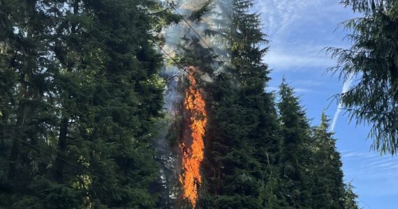 Photo by Central Whidbey Island Fire and Rescue