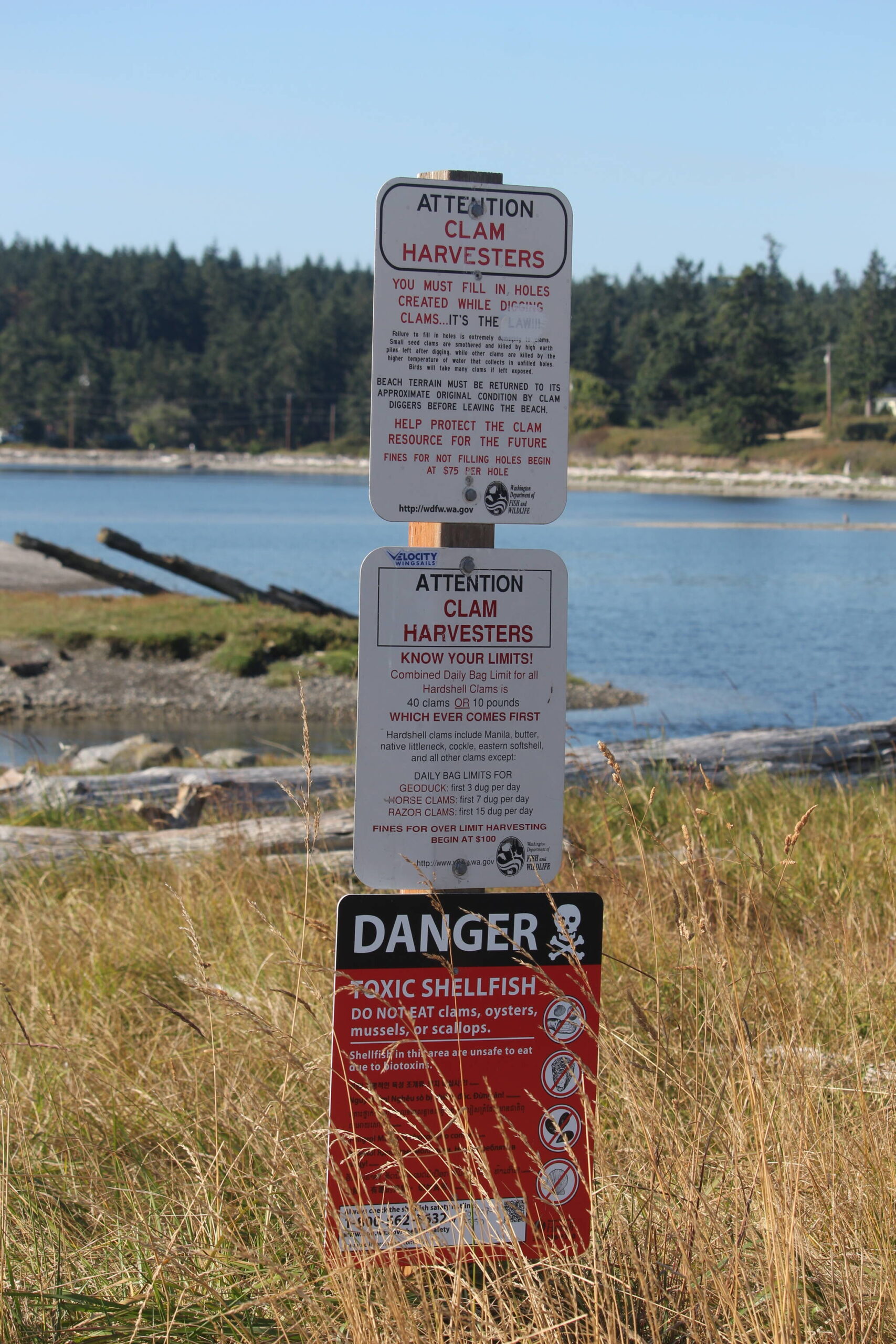(Photo by Marina Blatt) A toxic shellfish warning sign at Penn Cove Tidelands.
