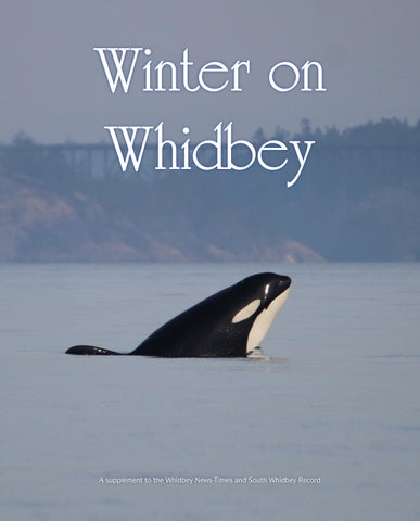 Winter on Whidbey 2024